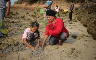 Menaruh Asa Perbaikan Hutan Mangrove pada Program BRGM