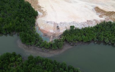 Alih Fungsi Kawasan Hutan Lindung Panaran Secara Ilegal Mengancam Ekosistem dan Nelayan